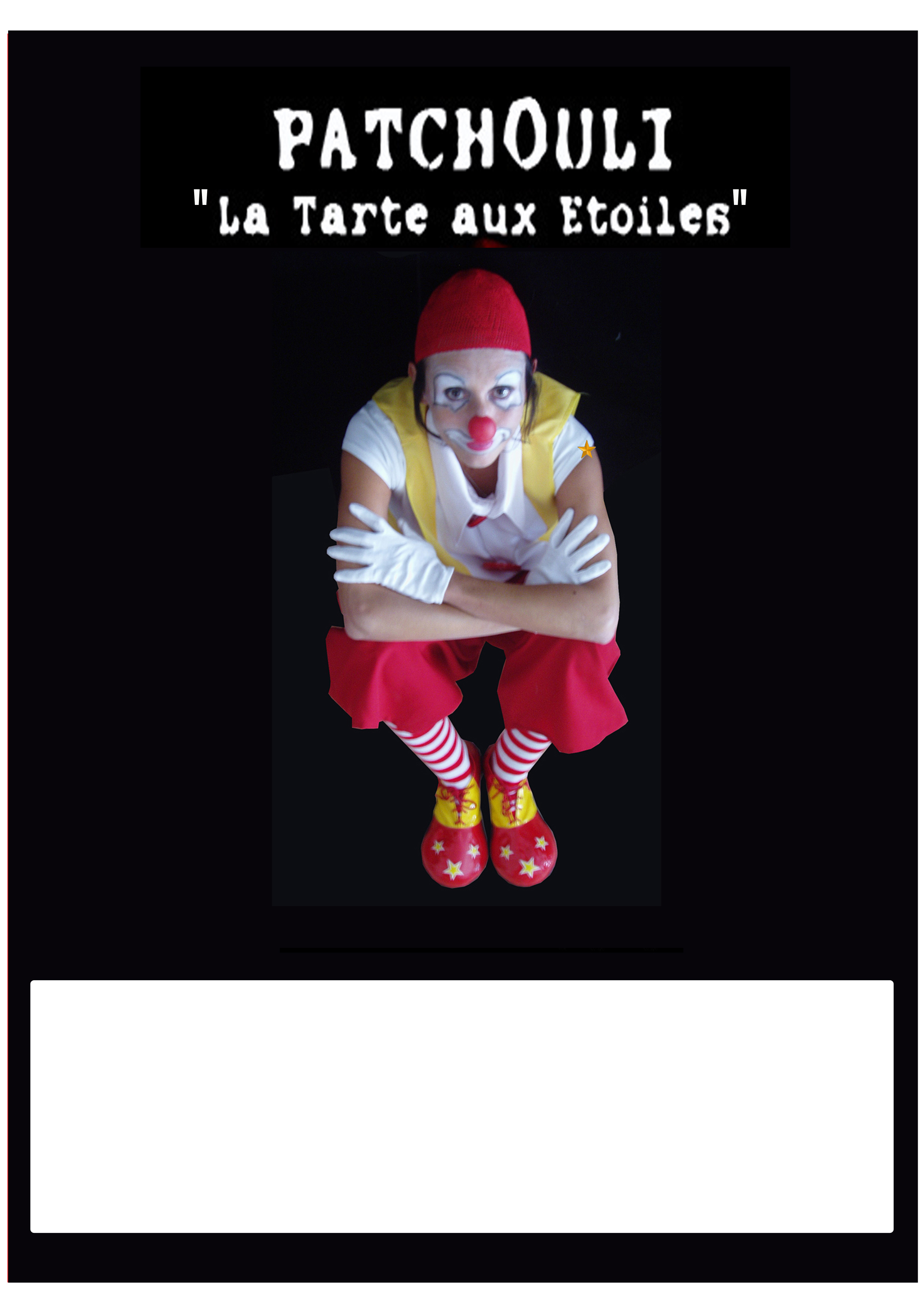 Affiche Le Cirque aux Étoiles